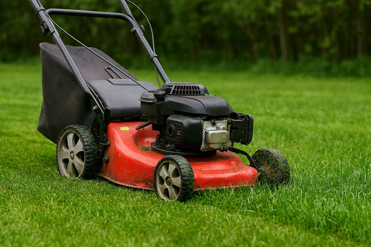 Lawn Mowers