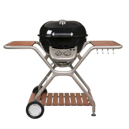 Portable mini BBQ grill for outdoor use