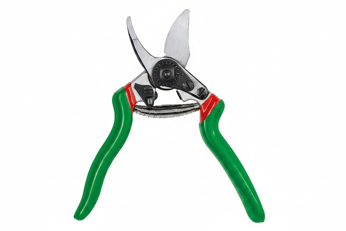 19 cm bypass garden pruning shears for precise branch cutting and garden maintenance.