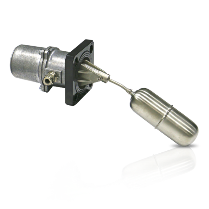 Side view of C-4 PN6 flanged level switch with industrial housing and mounting body