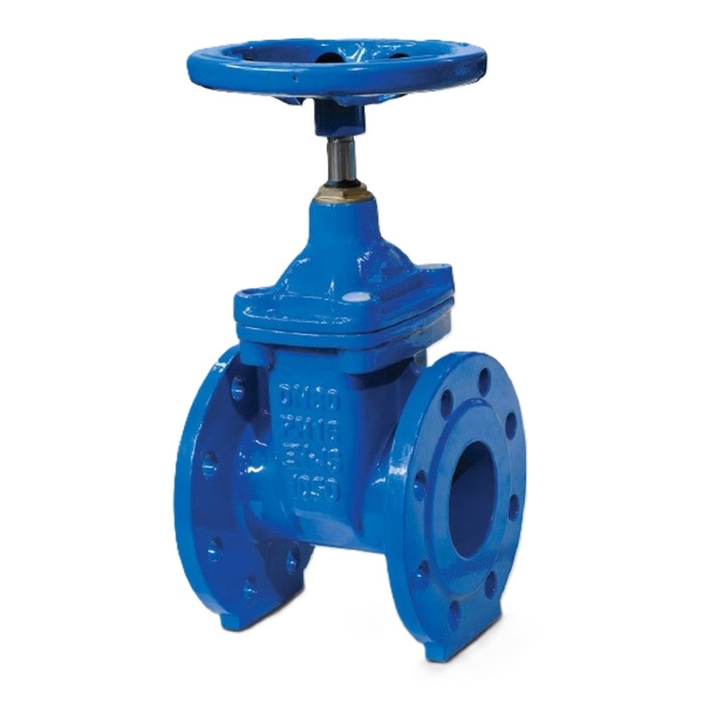 Gate Valve Resilient Seated
