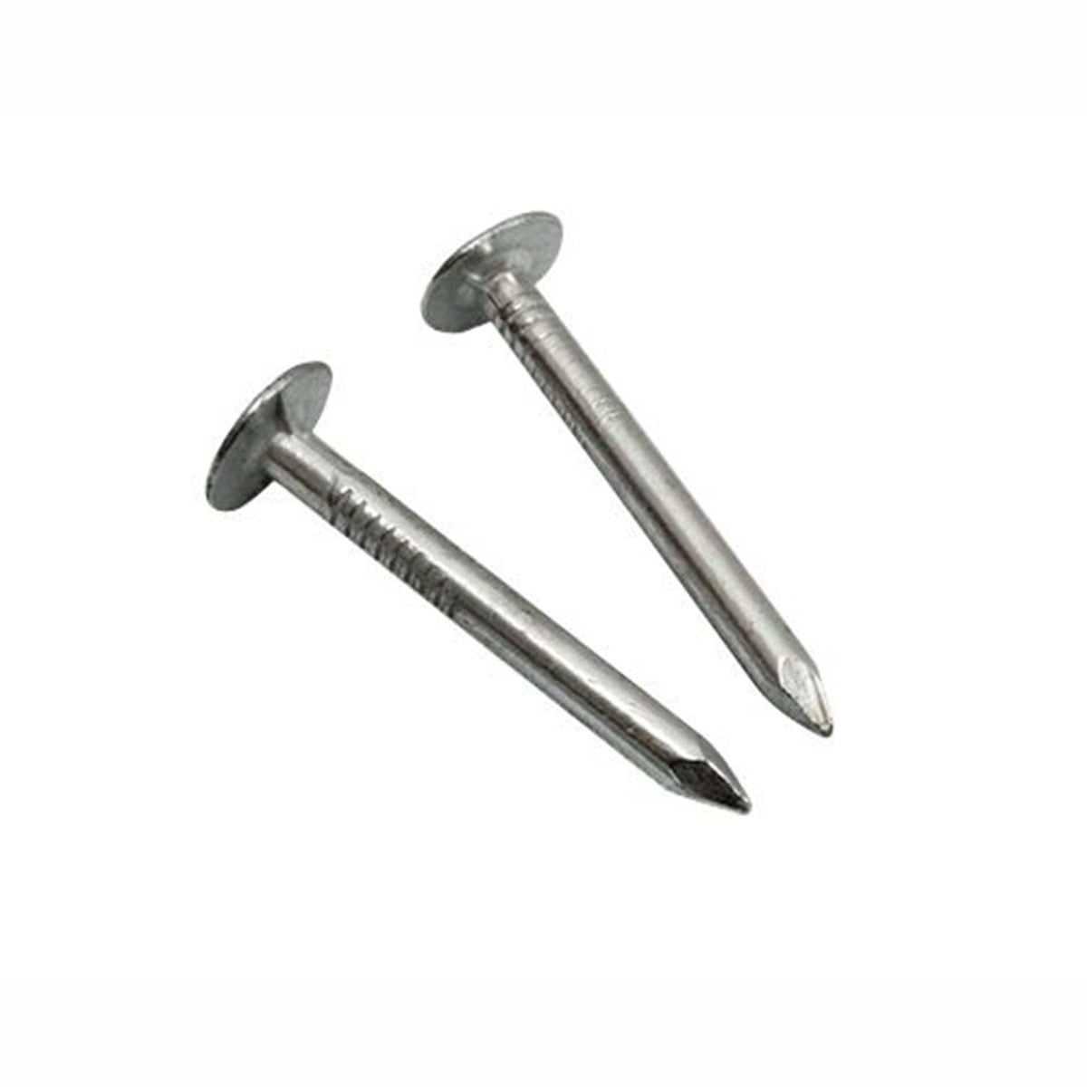 Stainless Steel Roofing Shingle Nails 20mm 1000pcs