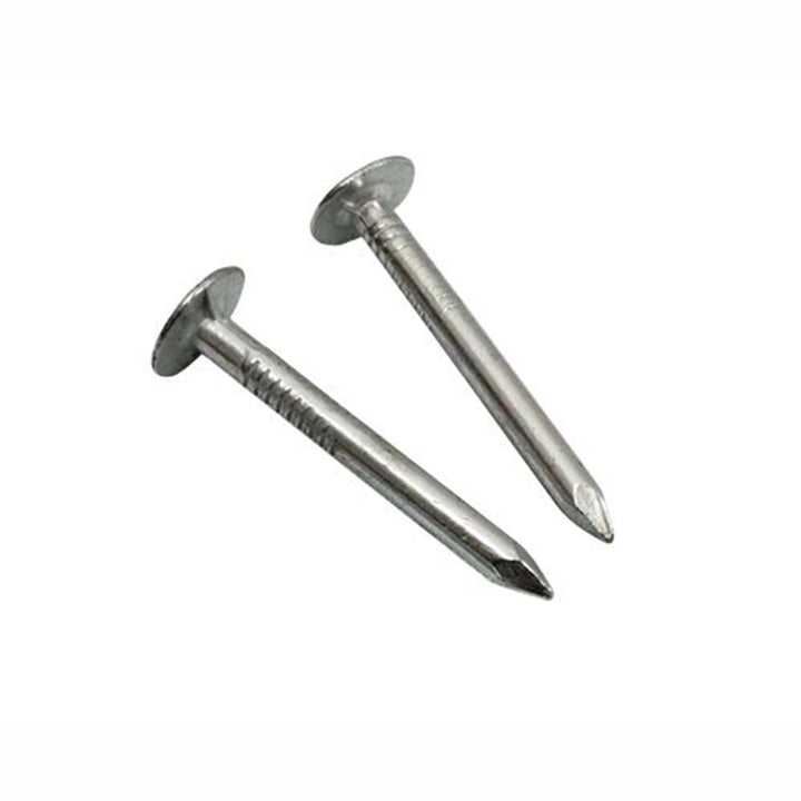 Stainless Steel Roofing Shingle Nails 20mm 1000pcs