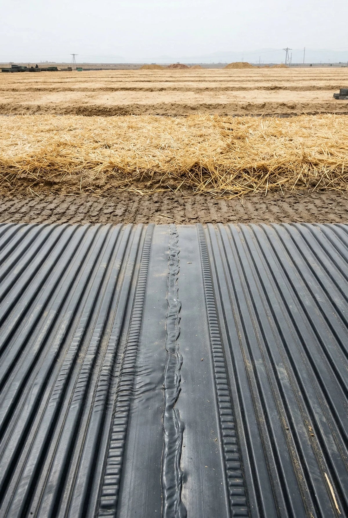 T rib geomembrane